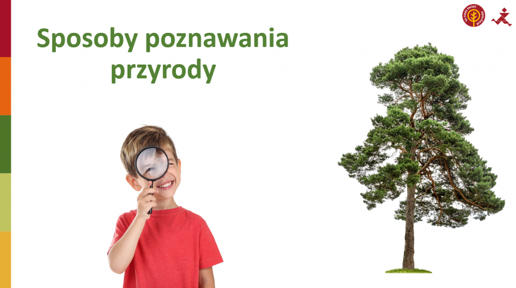 Przyroda Klasa 6 Dział 1
